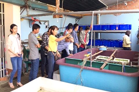 Trung tâm Khuyến nông An Giang tập huấn nuôi thương phẩm lươn đồng theo kỹ thuật tuần hoàn nước