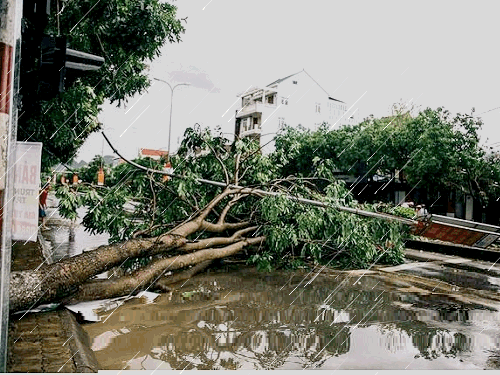 UBND tỉnh An Giang yêu cầu thực hiện các biện pháp phòng ngừa, ứng phó với mưa giông, lốc xoáy